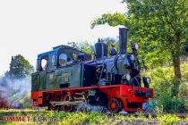 Die Dampflokomotive Spreewald stammt aus dem Jahr 1917. • © ummeteck.de - Christian Schön